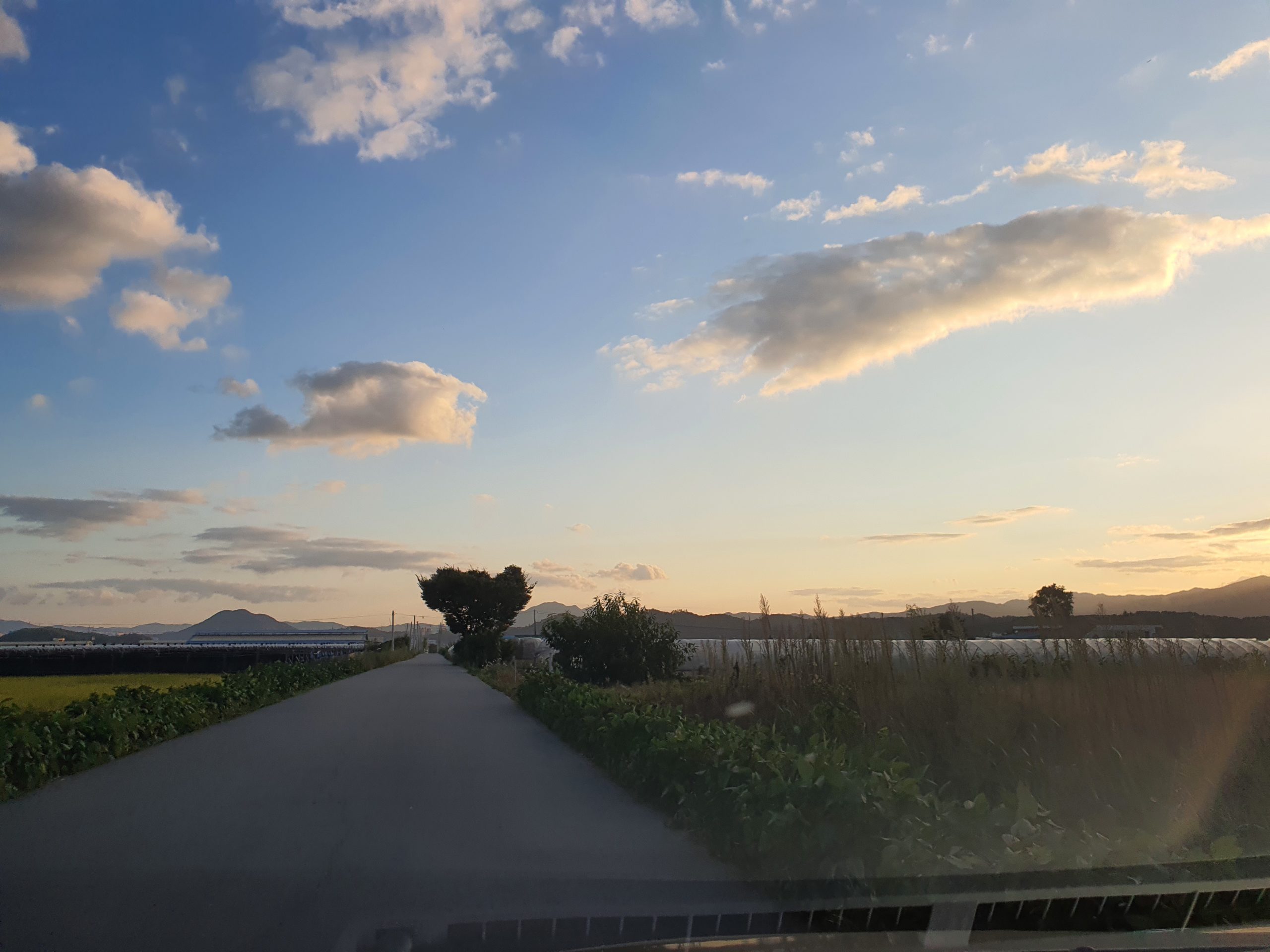Rural road at dusk