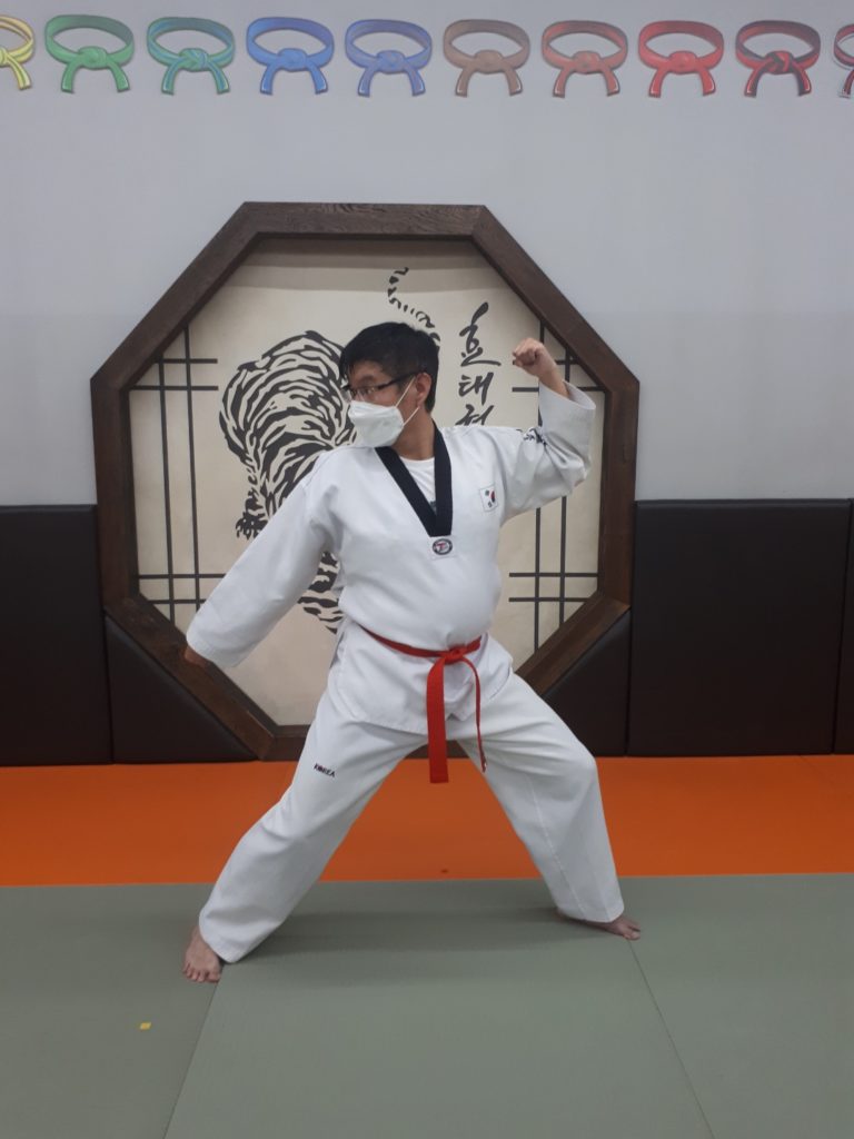 Hobin in Taekwondo pose